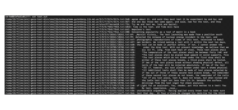 Example Output